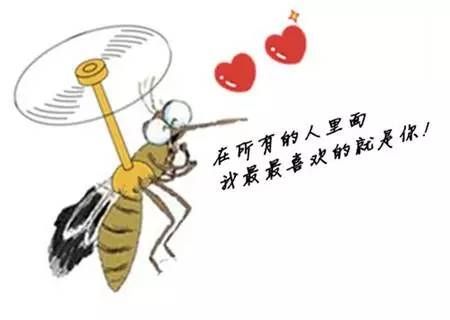 蚊子的生活習(xí)性 蚊子的生活習(xí)性