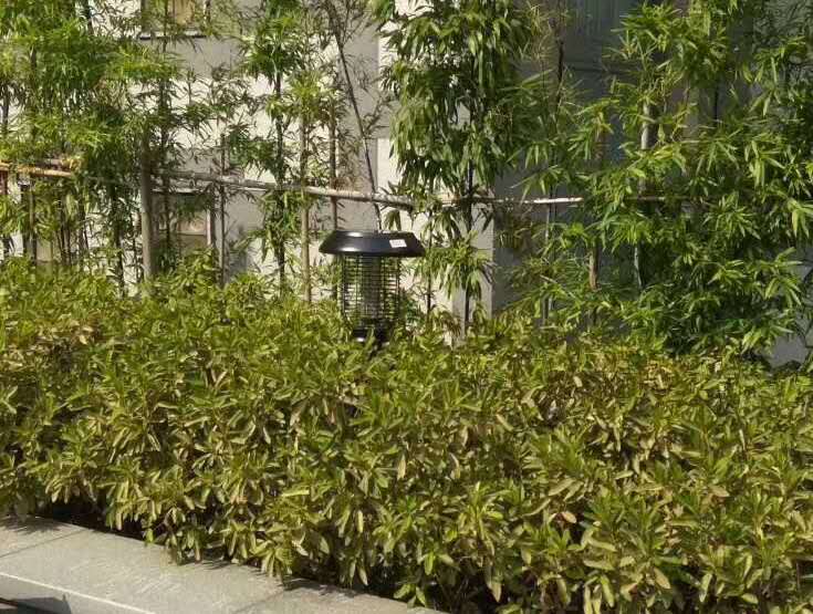 江西某小區安裝尚科戶外草坪燈效果 江西某小區安裝尚科戶外草坪燈效果
